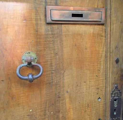 Le 1835, Ambre-jaune